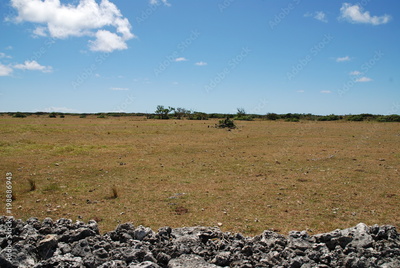 image to crop