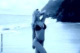 preview cold