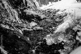 preview bw