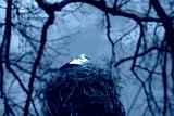preview cold