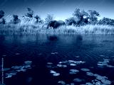 preview cold