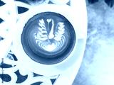 preview cold