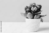 preview bw