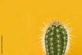preview original