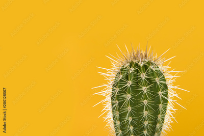 image to crop