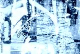 preview cold