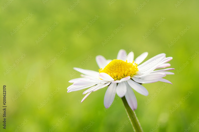 image to crop