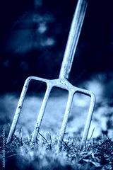 preview cold