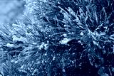 preview cold
