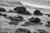 preview bw