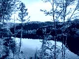 preview cold