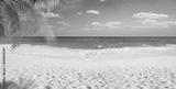 preview bw