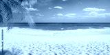 preview cold
