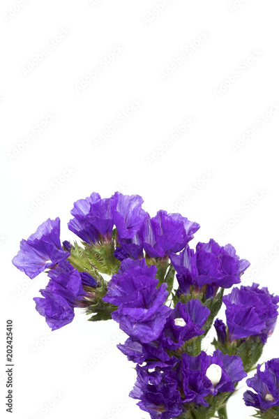 image to crop