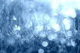 preview cold