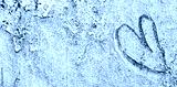 preview cold