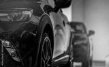 preview bw