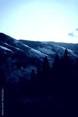 preview cold