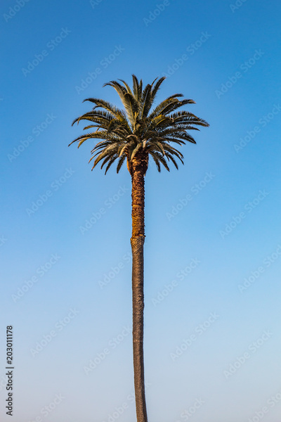 image to crop