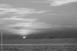 preview bw