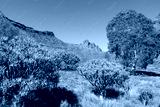 preview cold