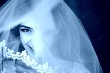 preview cold