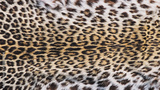preview original