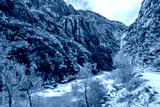 preview cold