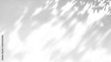 preview bw