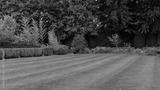 preview bw