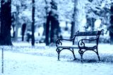 preview cold