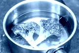 preview cold