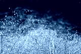 preview cold