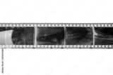 preview bw