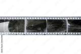 preview original