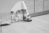 preview bw
