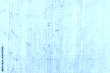 preview cold