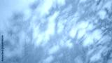 preview cold