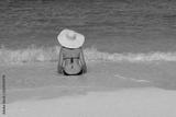 preview bw