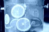 preview cold