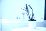 preview cold