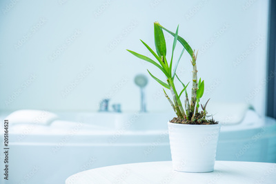 image to crop