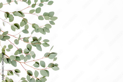 image to crop