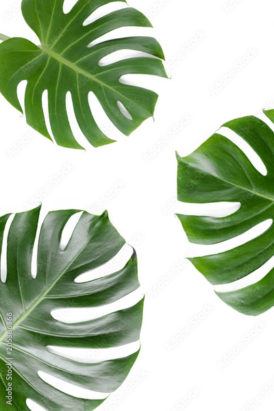 image to crop