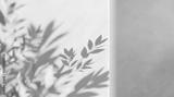 preview bw