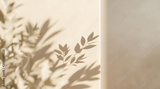 preview original