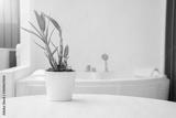 preview bw