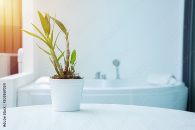 image to crop