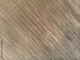 preview original