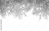preview bw